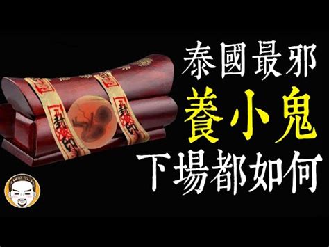 養小鬼的徵兆|【養小鬼的徵兆】養小鬼的徵兆曝光！史上最全解密，。